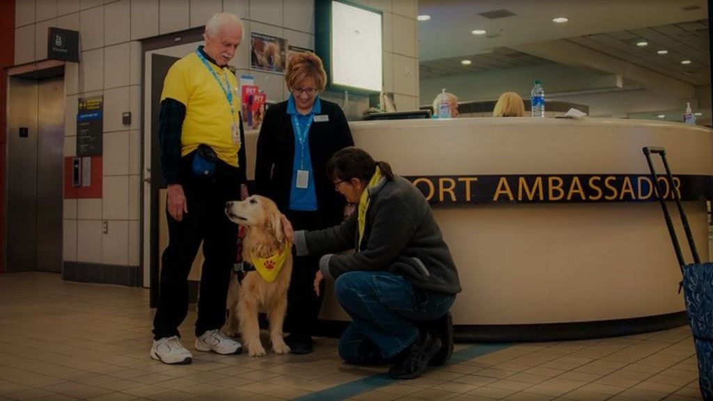 Traveling With Pets