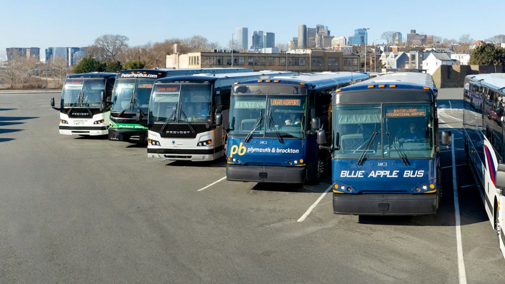 BOS Ground Transport Services Options